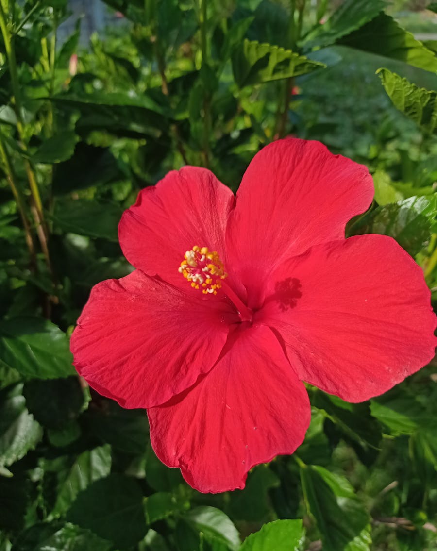 南宁医院如何用肇新智能文档比对统一各科室诊疗规范版本