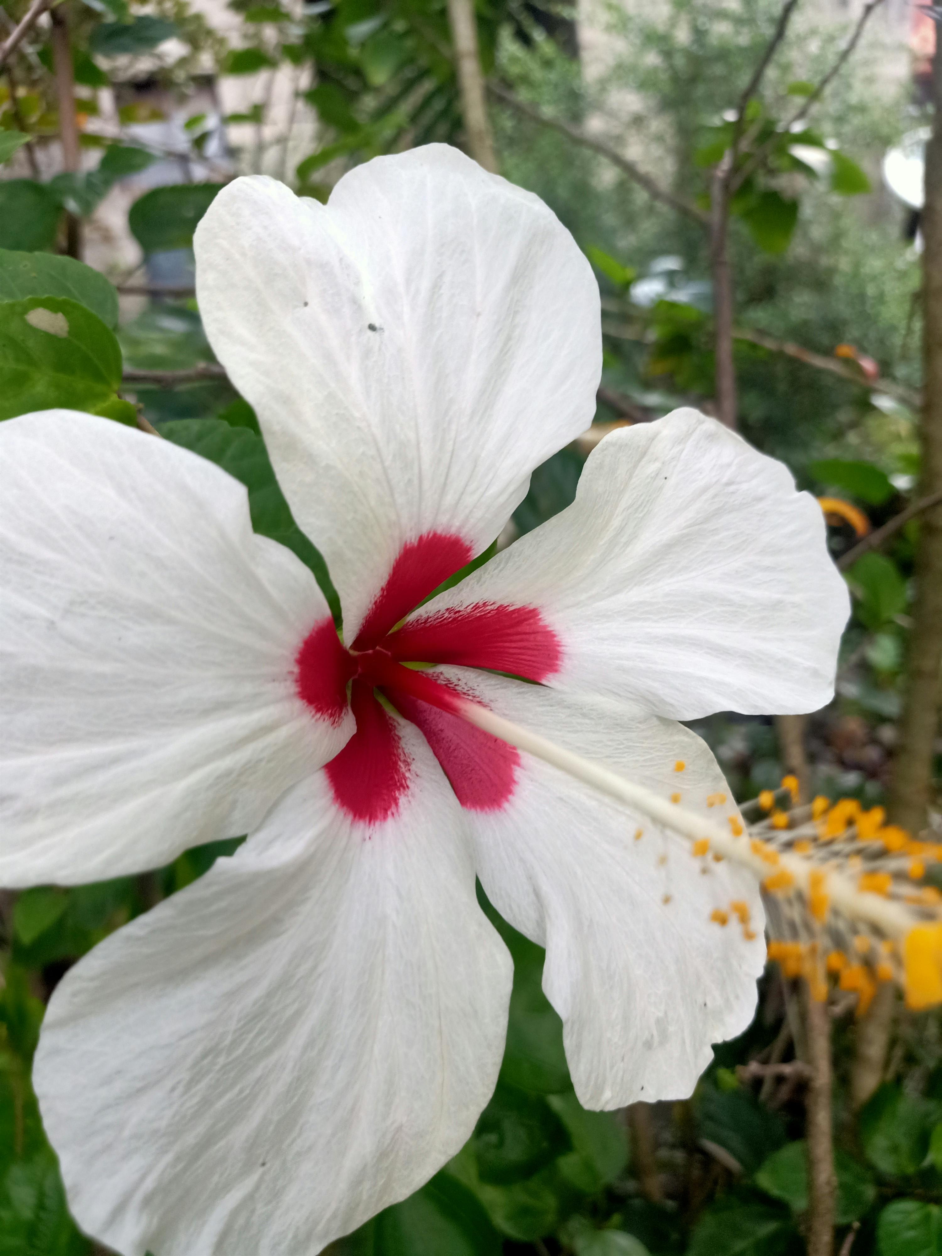 Exames de sangue e colesterol
