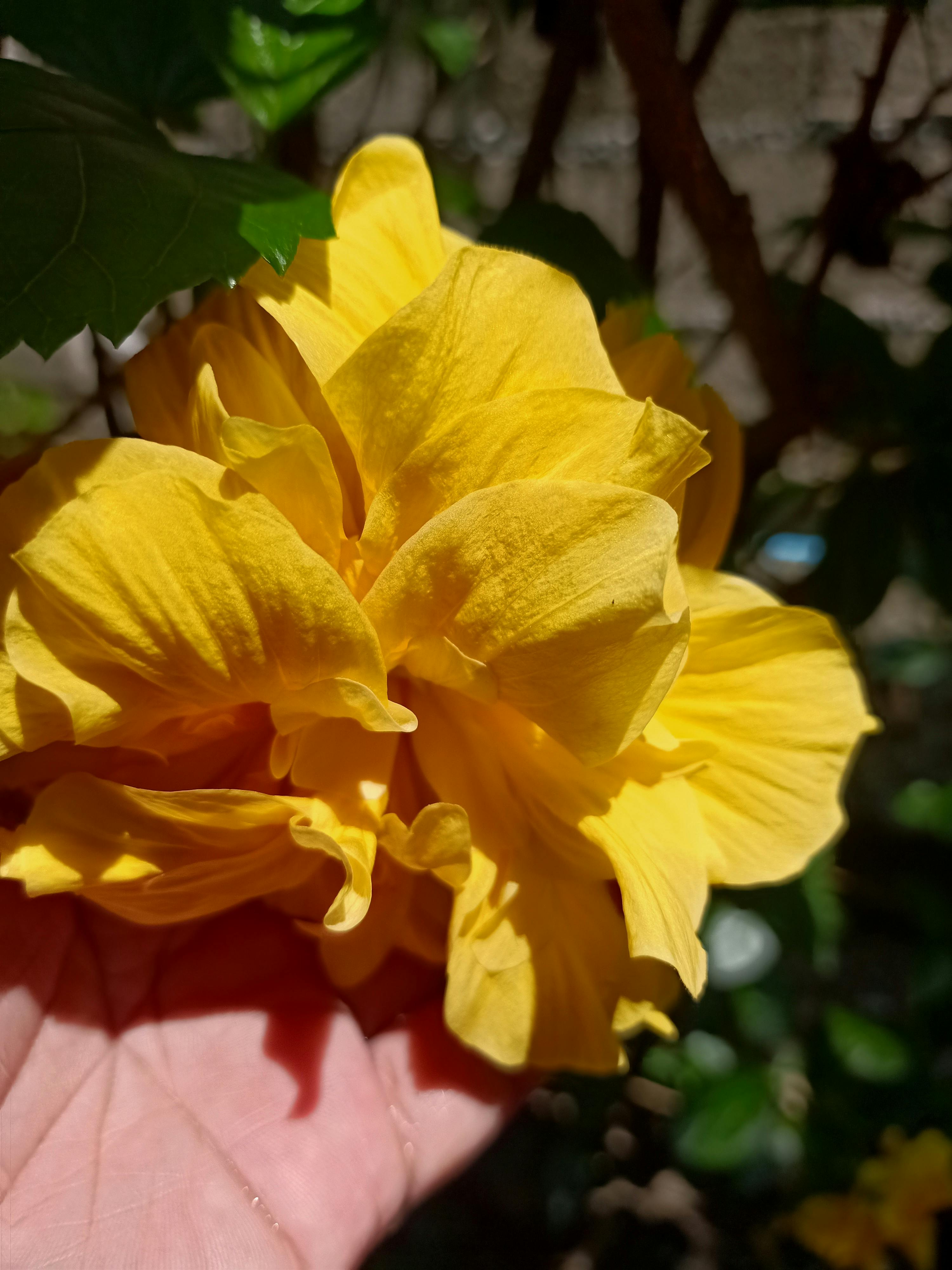 telemedicine 2025 digital doctor virtual consultation healthcare tech