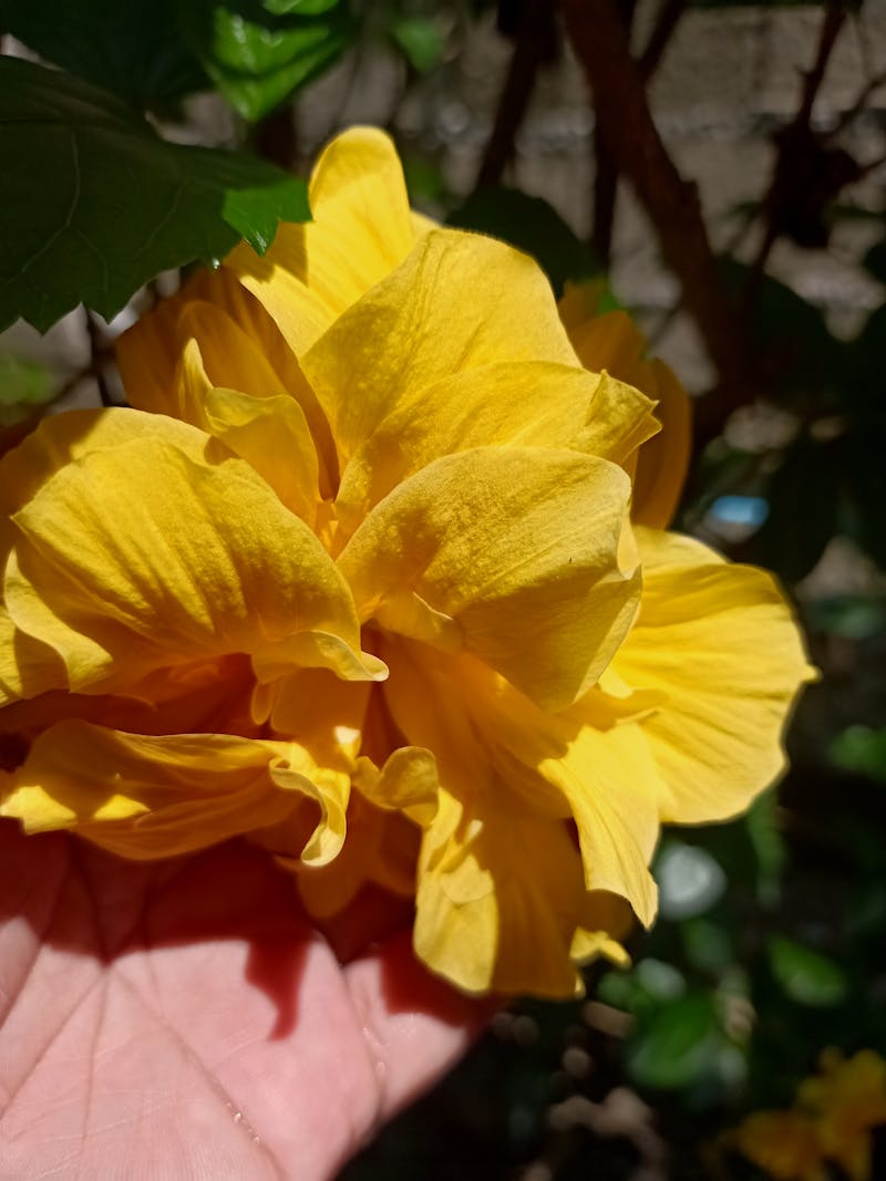 Modern orthopedic surgery suite