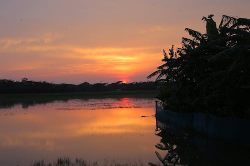 Immagine gratuita di alba della vita, colore del tramonto, pacifico