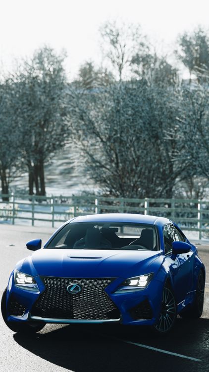Blue Shiny Car Parked Near Bare Trees · Free Stock Photo