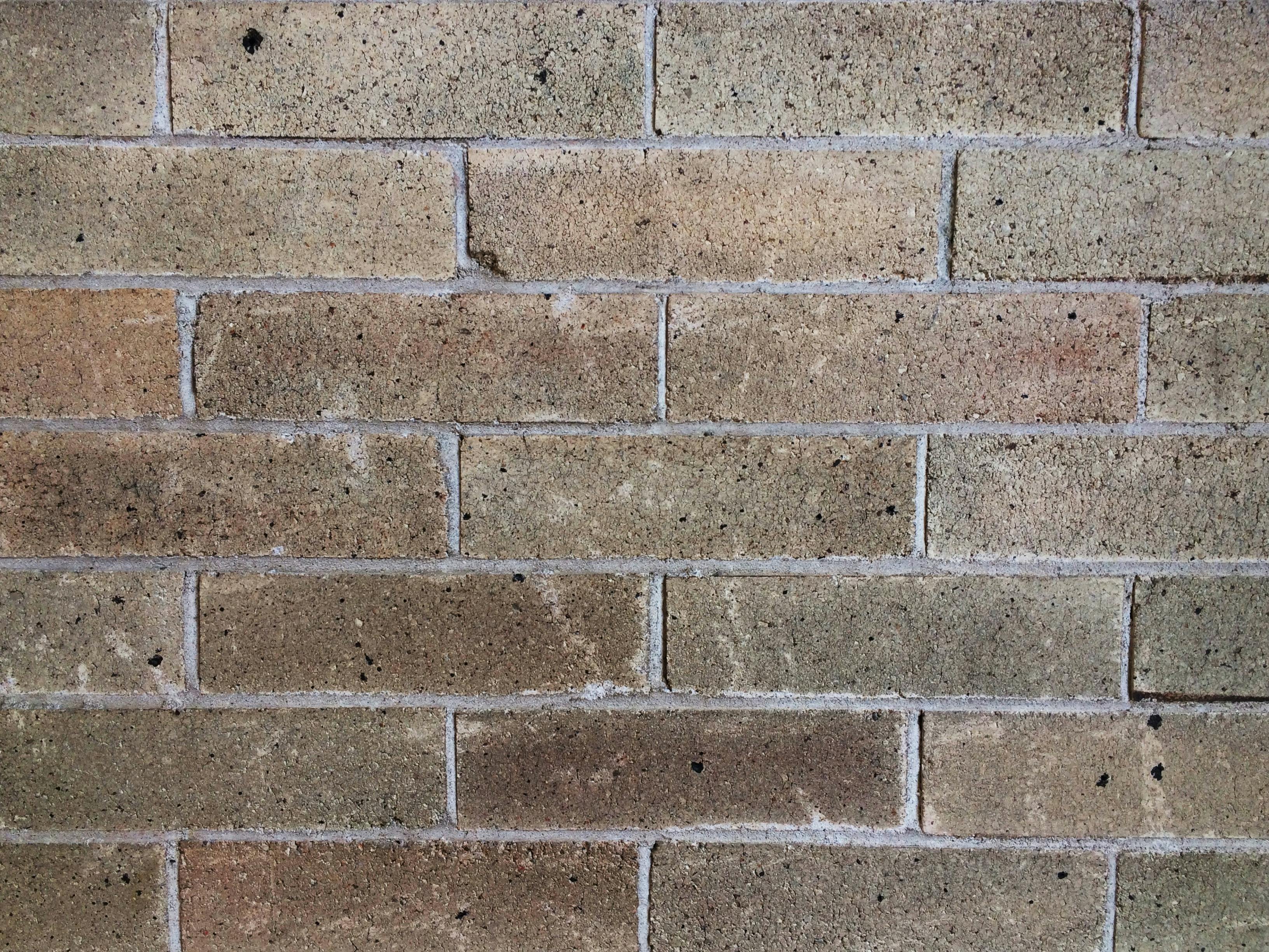 PCOS Diyeti: Belirtileri Yönetmek ve Sağlığı İyileştirmek İçin Beslenme Rehberi