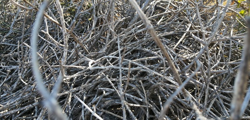 Volantes Media Carta 4x0