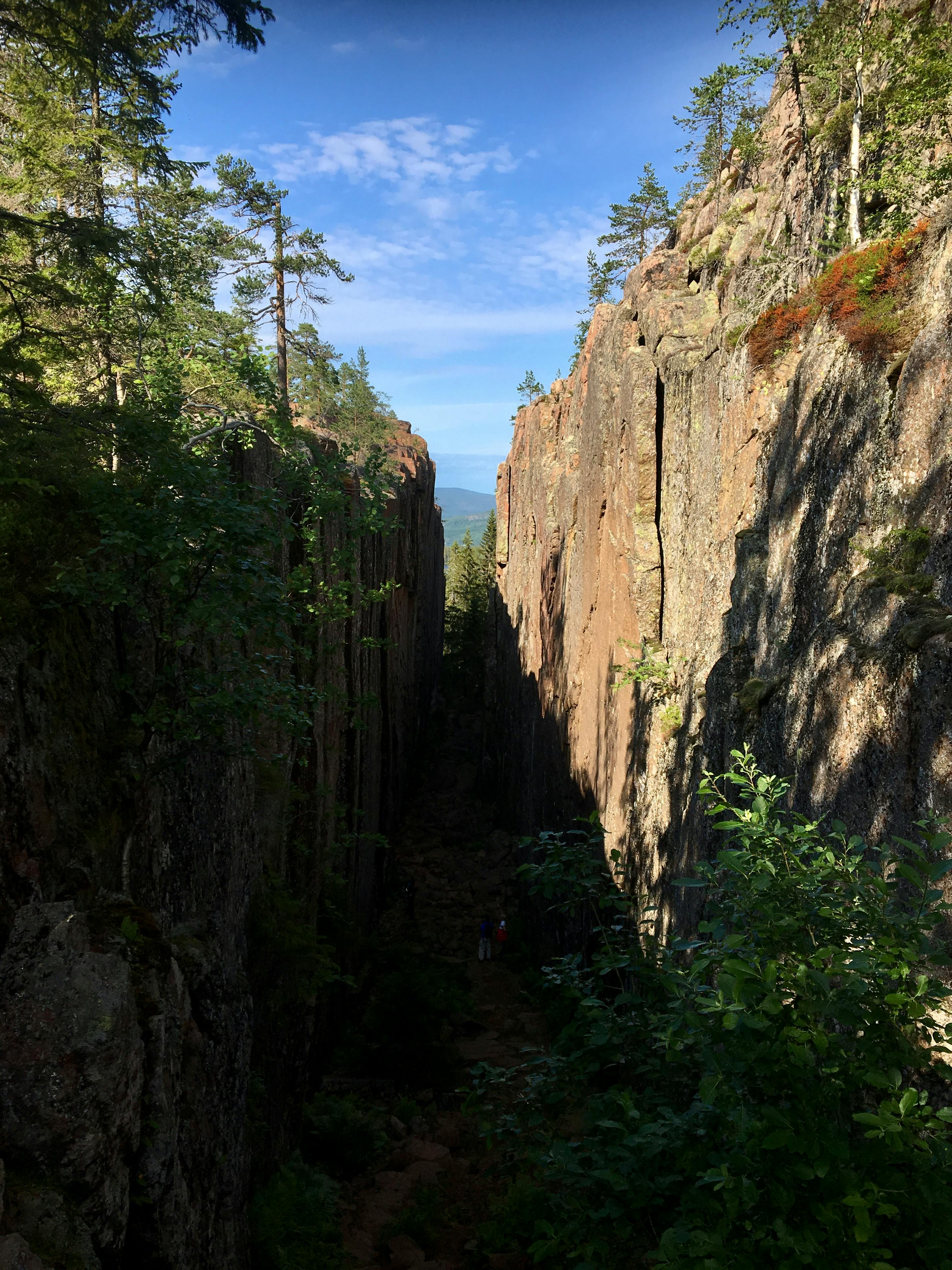 Young Nigerian entrepreneur writing on laptop at home office in Port Harcourt earning dollars