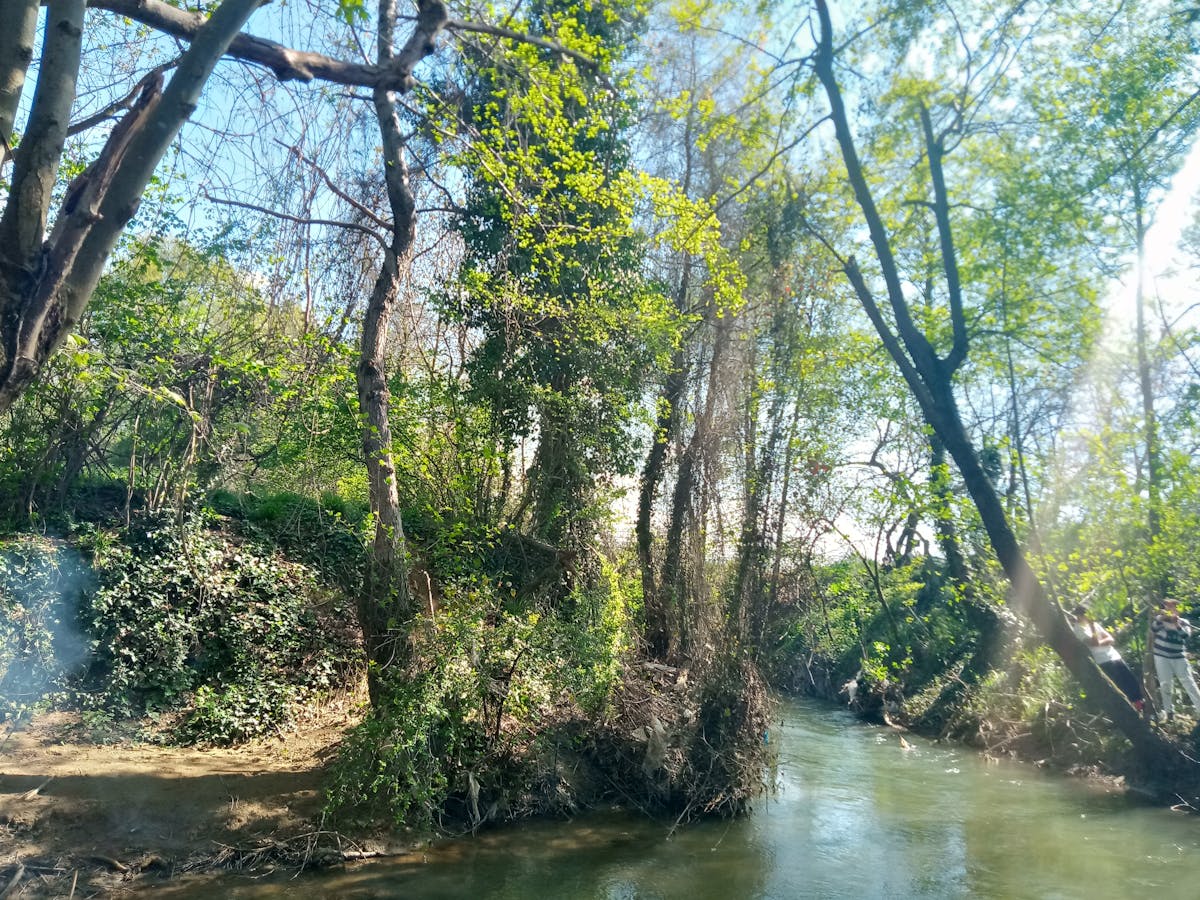 Professional camera operator filming business content