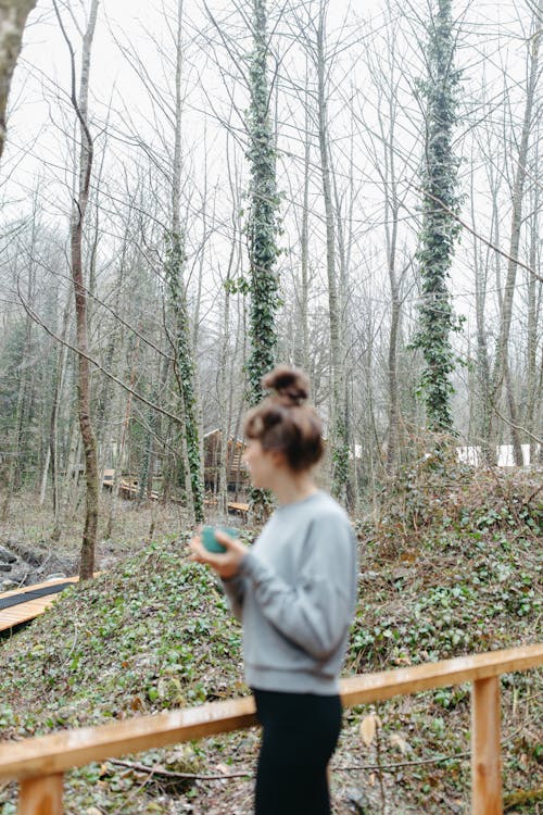 Photos gratuites de @extérieur, arbres, balustrade en bois