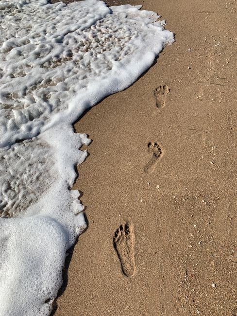 Coastal Hideaways: Secret Beaches & Untouched Shores Coastal Hideaways: Secret Beaches & Untouched Shores