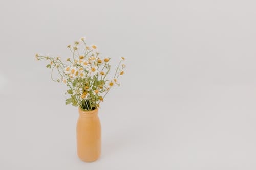 White Flowers in Brown Vase