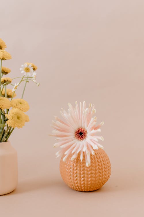 Foto stok gratis bejana, bunga, dekorasi