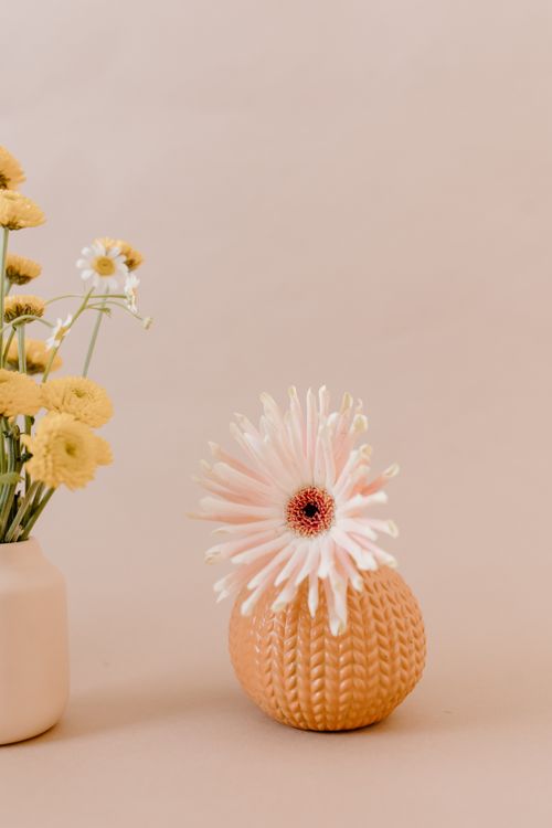 Free Minimalist floral arrangement with daisies in textured vases on a beige background. Stock Photo