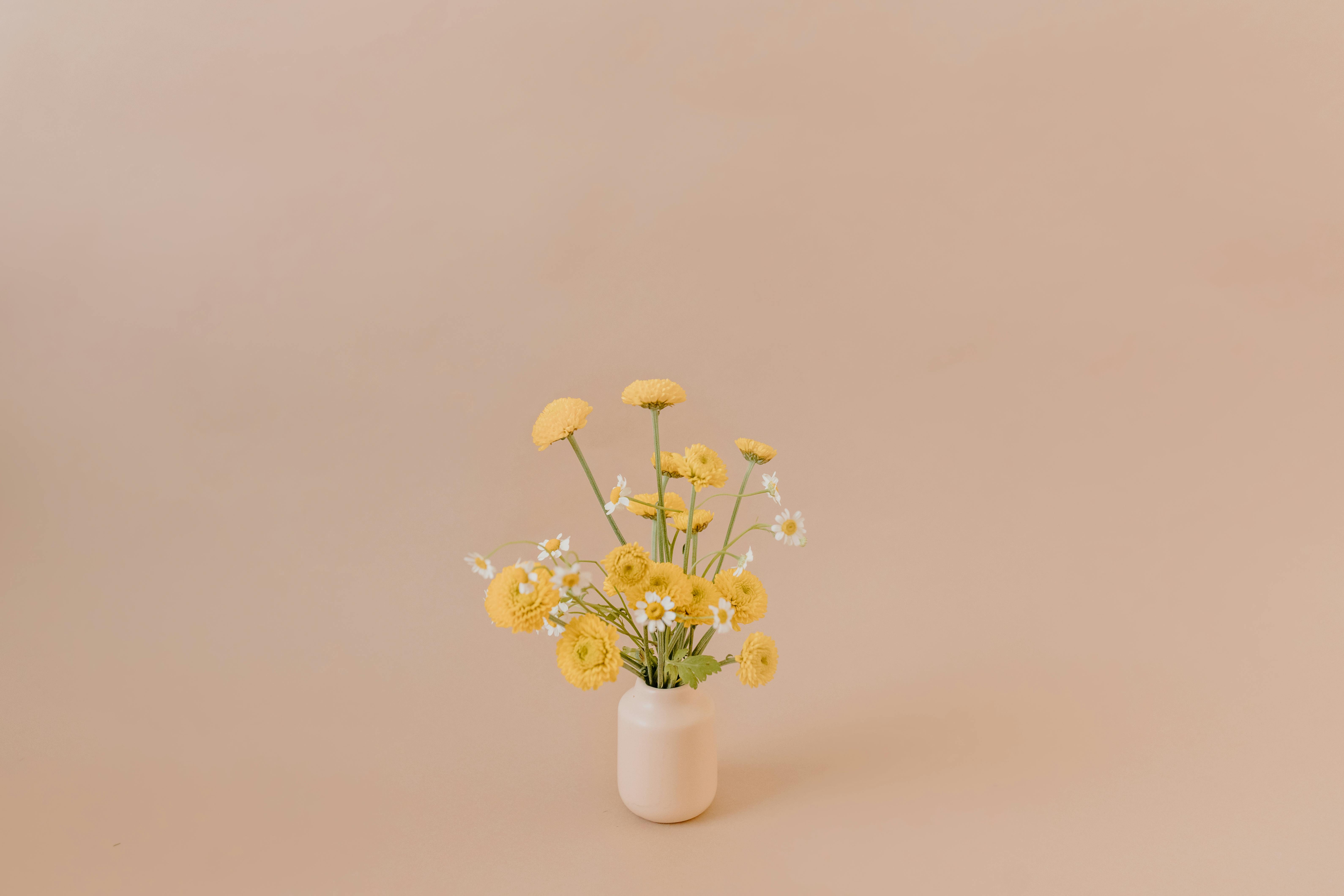 Yellow Flowers in White Ceramic Vase · Free Stock Photo