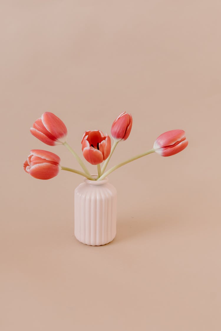 Tulips In White Vase 