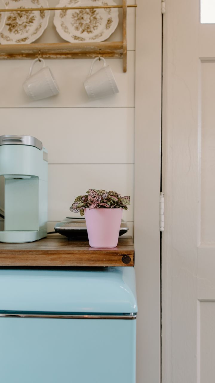 small terracotta pot of mint sitting on a wooden coffee bar counter