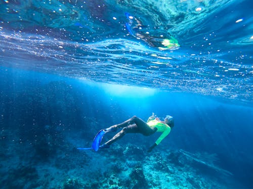 Free stock photo of diving, snorkeling, underwater Stock Photo