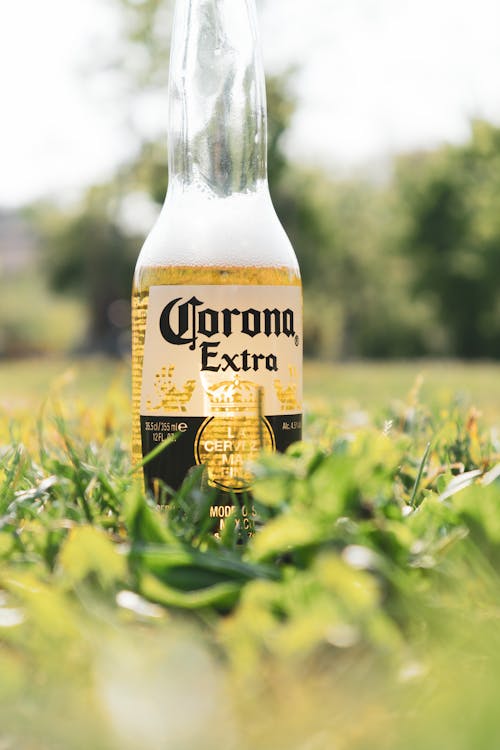 A Bottle of Beer on a Grass
