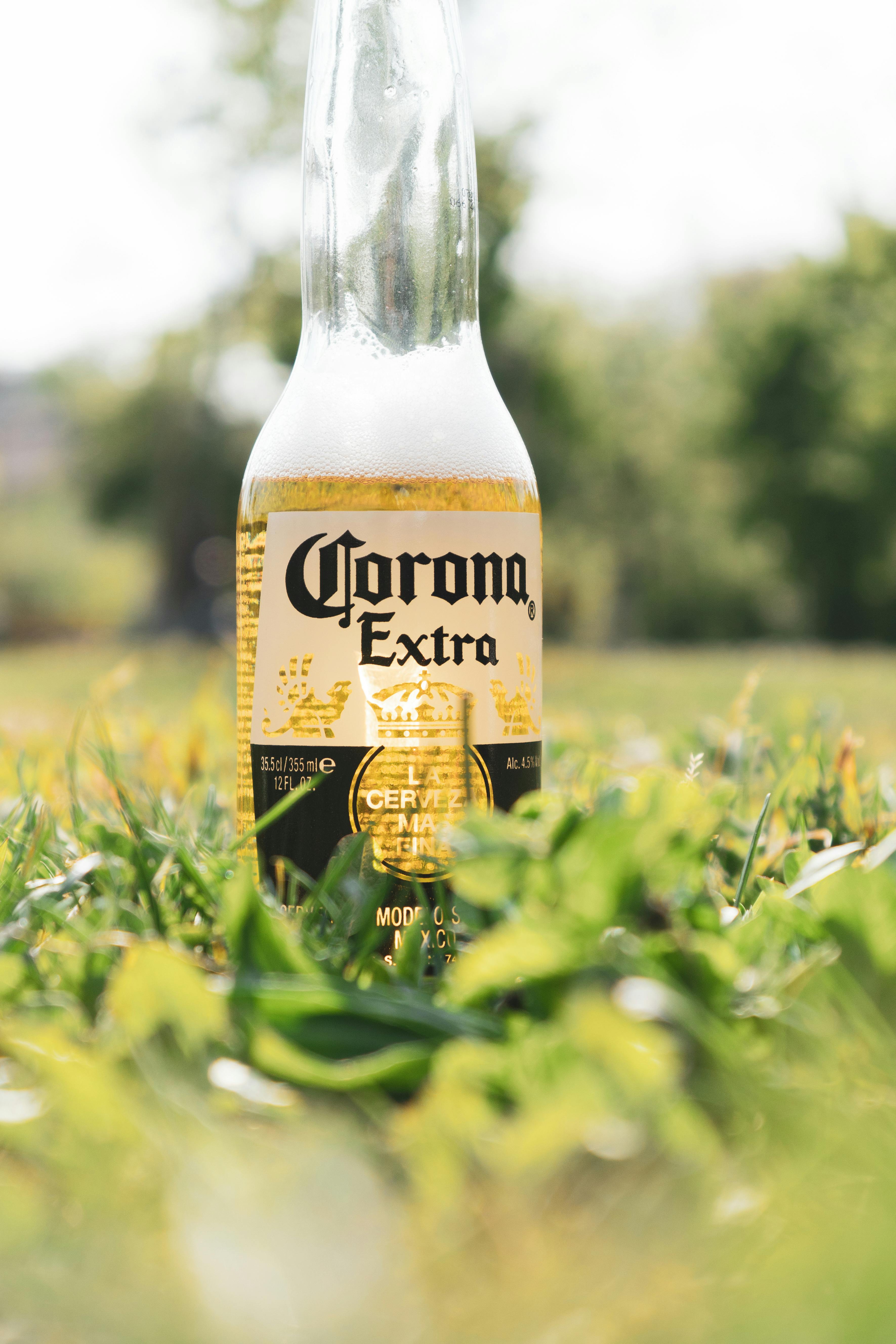 + Fotos y Imágenes de Cerveza corona Gratis · Banco de Fotos Gratis + Fotos y Imágenes de Cerveza corona Gratis · Banco de Fotos Gratis