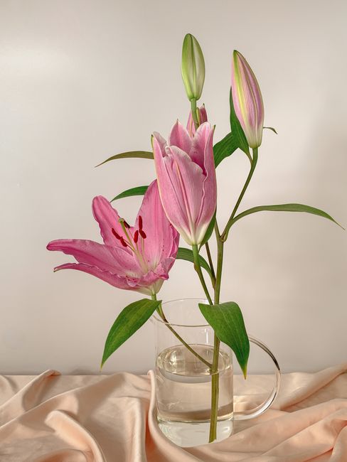 A stunning arrangement of pink lilies in full bloom displayed in a glass vase on a soft fabric backdrop.