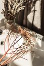 From above of dried beige flowers placed on white table near glass vase with bunch of green plants in light room