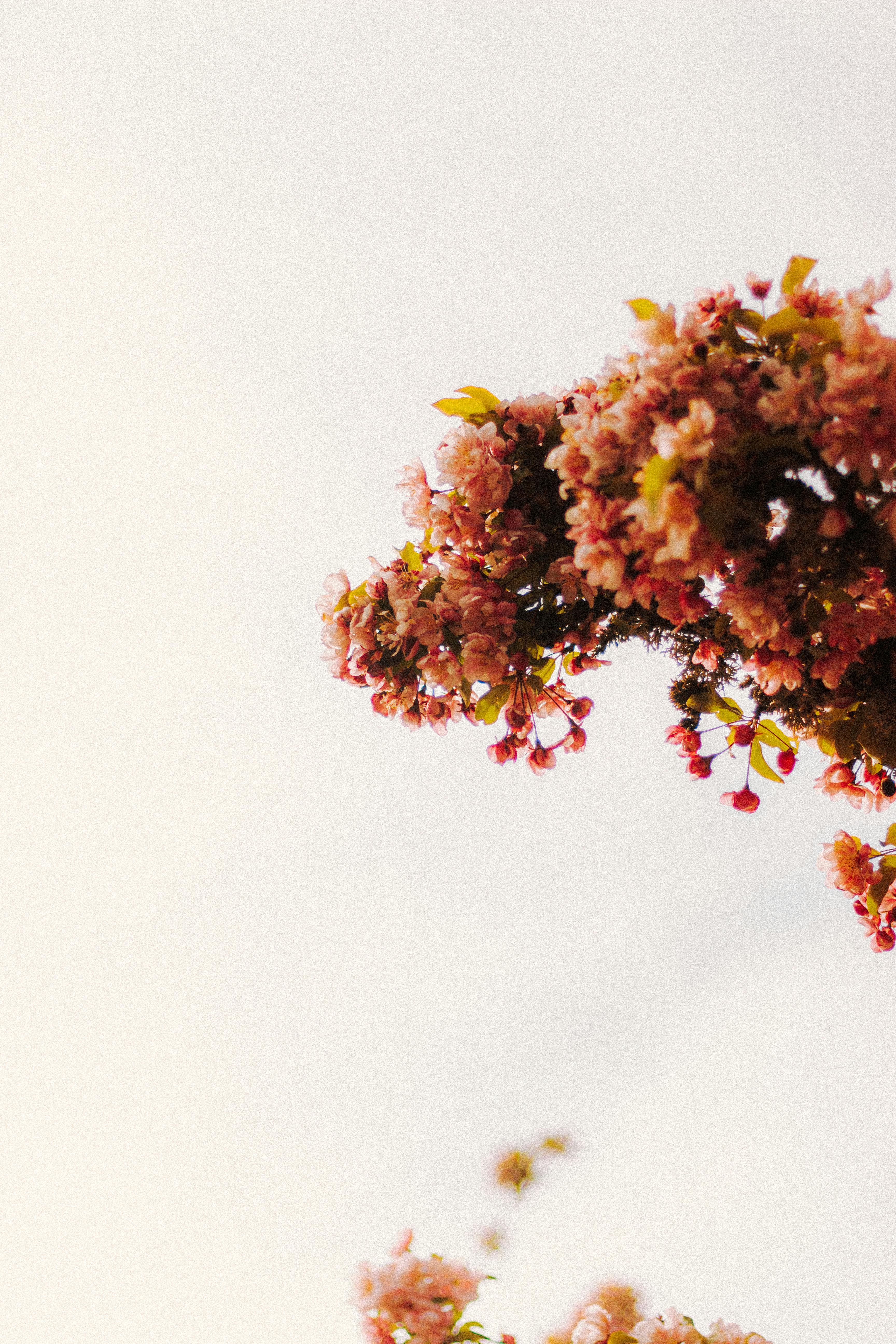 Spring-Inspired Table Settings