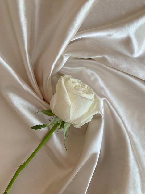 How to wash silk pillowcase lily silk