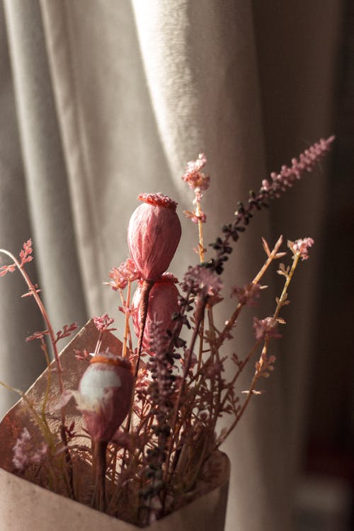 Bouquet of pale pink dry flowers wrapped into paper placed near beige curtain at sunlight