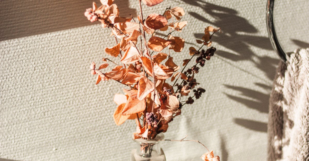 How to dry flowers for bath salts