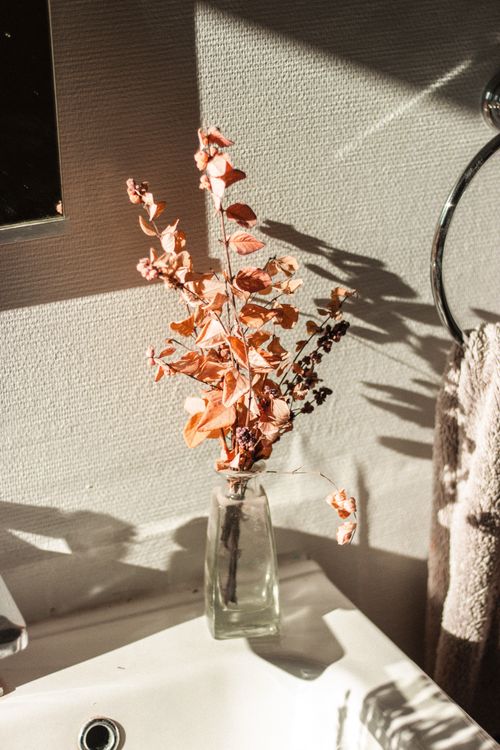Free Interior of stylish bathroom with stem of dry flowers of rusty color in transparent glass bottle placed on corner of white ceramic sink and holder rig with towel at sunlight Stock Photo
