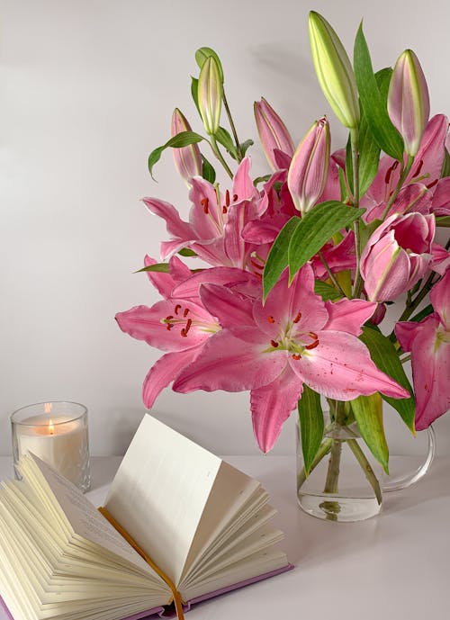ガラス花瓶, ピンクの花, 垂直ショットの無料の写真素材