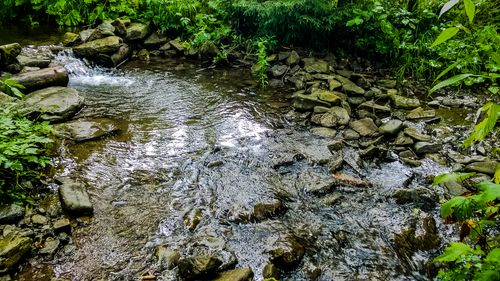 Free stock photo of brook, mountains, tranquil scene Stock Photo