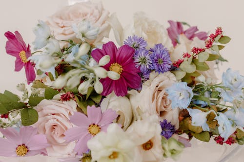 什錦的, 婚禮鮮花, 植物群 的 免費圖庫相片