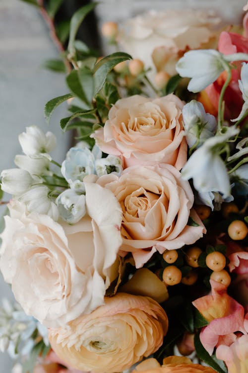 White Roses Beside Brown Round Fruits