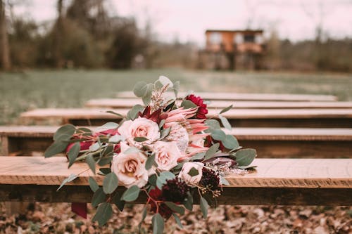 Pink and White Flowers on Brown Wooden Bench