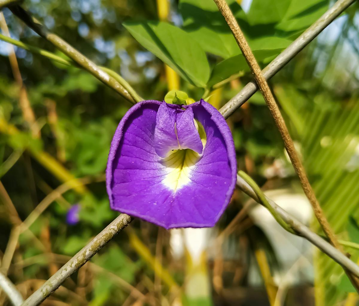 Back to school loans Canada application