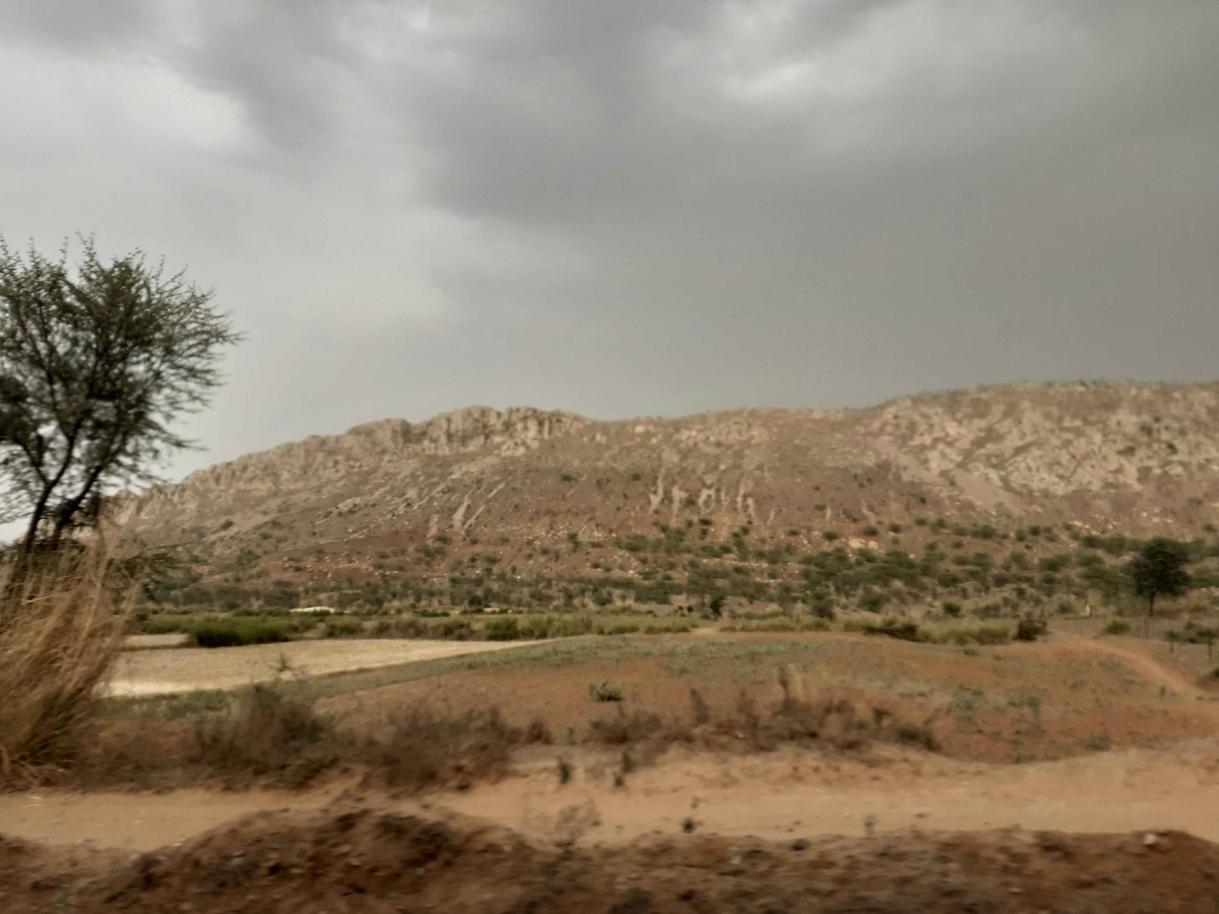 Cannabis Birthday Packages