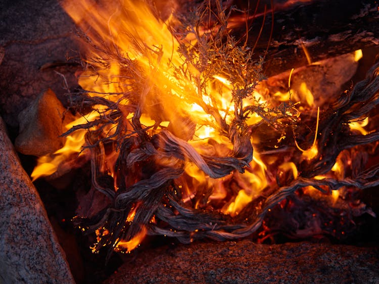 Campfire During Night Time