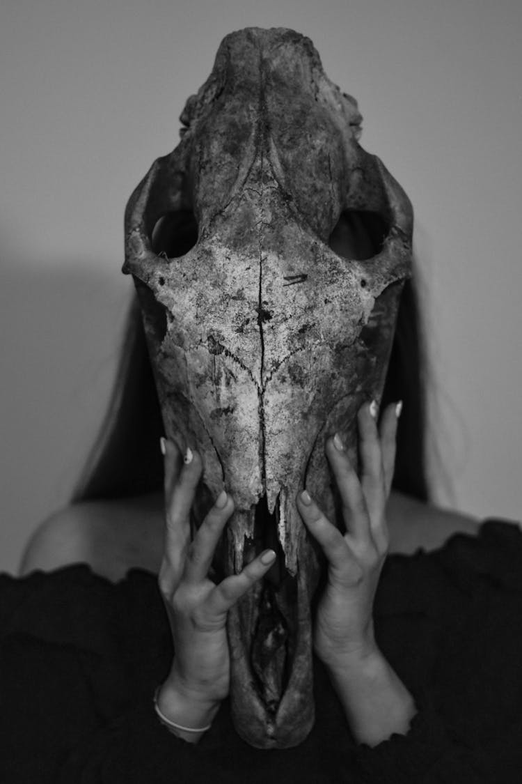 Woman Holding Cow Skull