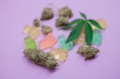 Close-Up Photo of Cannabis Bud