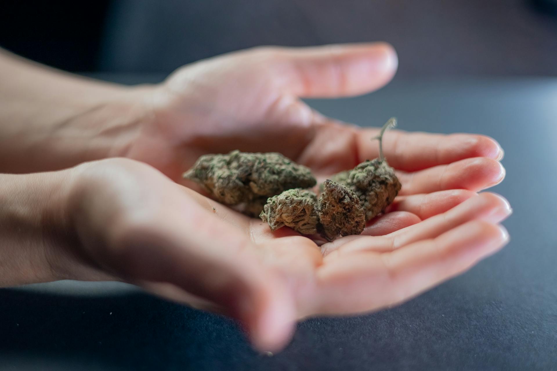 Photo of SKunk Weed on Person's Hands