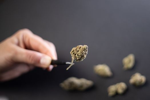 Close-Up Photo of Cannabis Flower