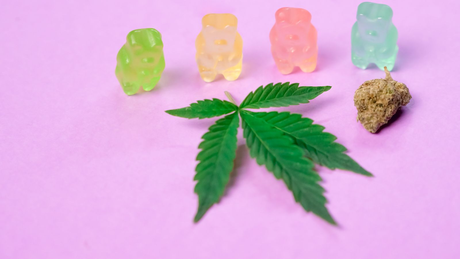 Vibrant gummy bears with a cannabis leaf and bud on a pastel pink background.