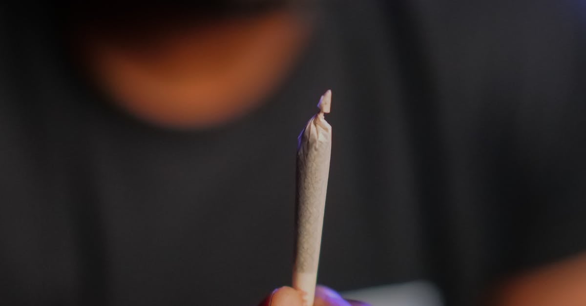 What does blunt mean in slang