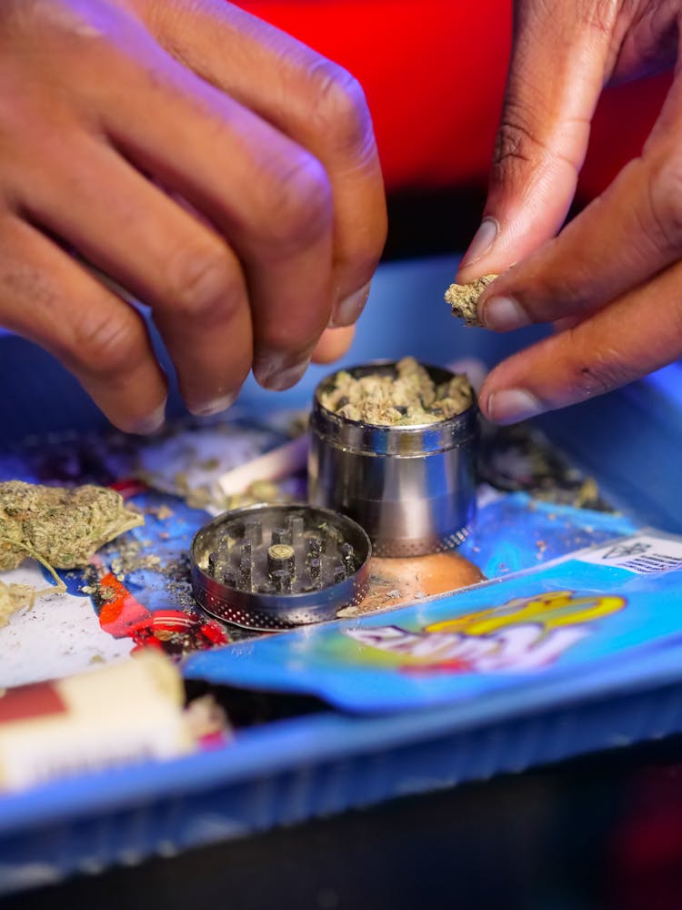 Photo Of Person Putting Skunk Weed On Grinder