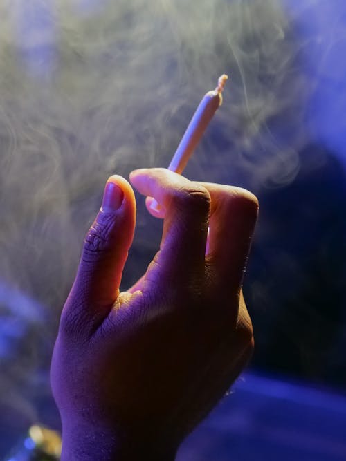 Free Person Holding White a Joint Stock Photo