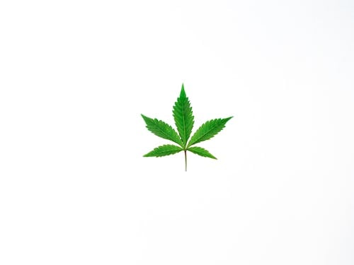 Gratis stockfoto met cannabis cultuur, drug, ganja