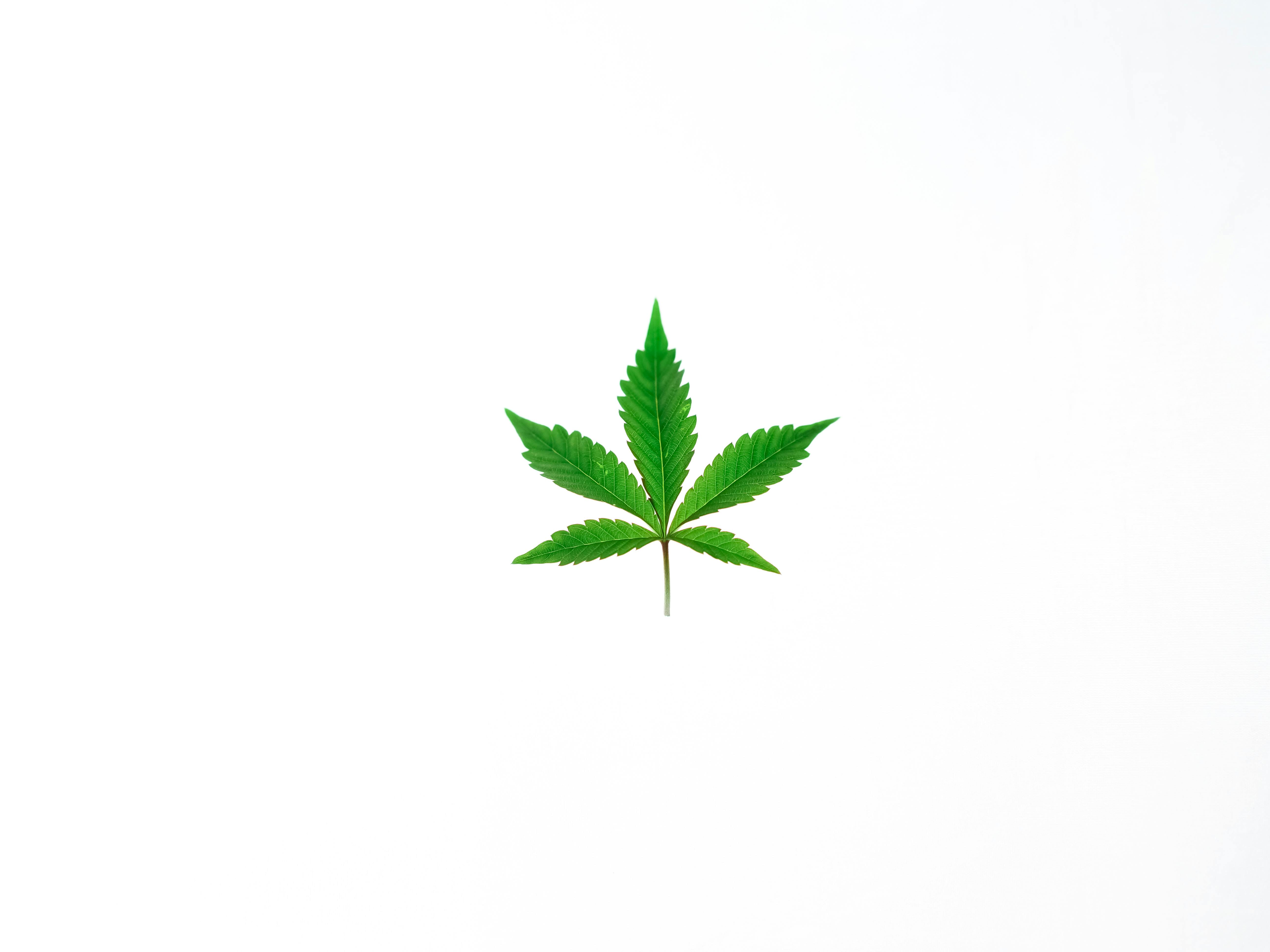 dope hands weed logo