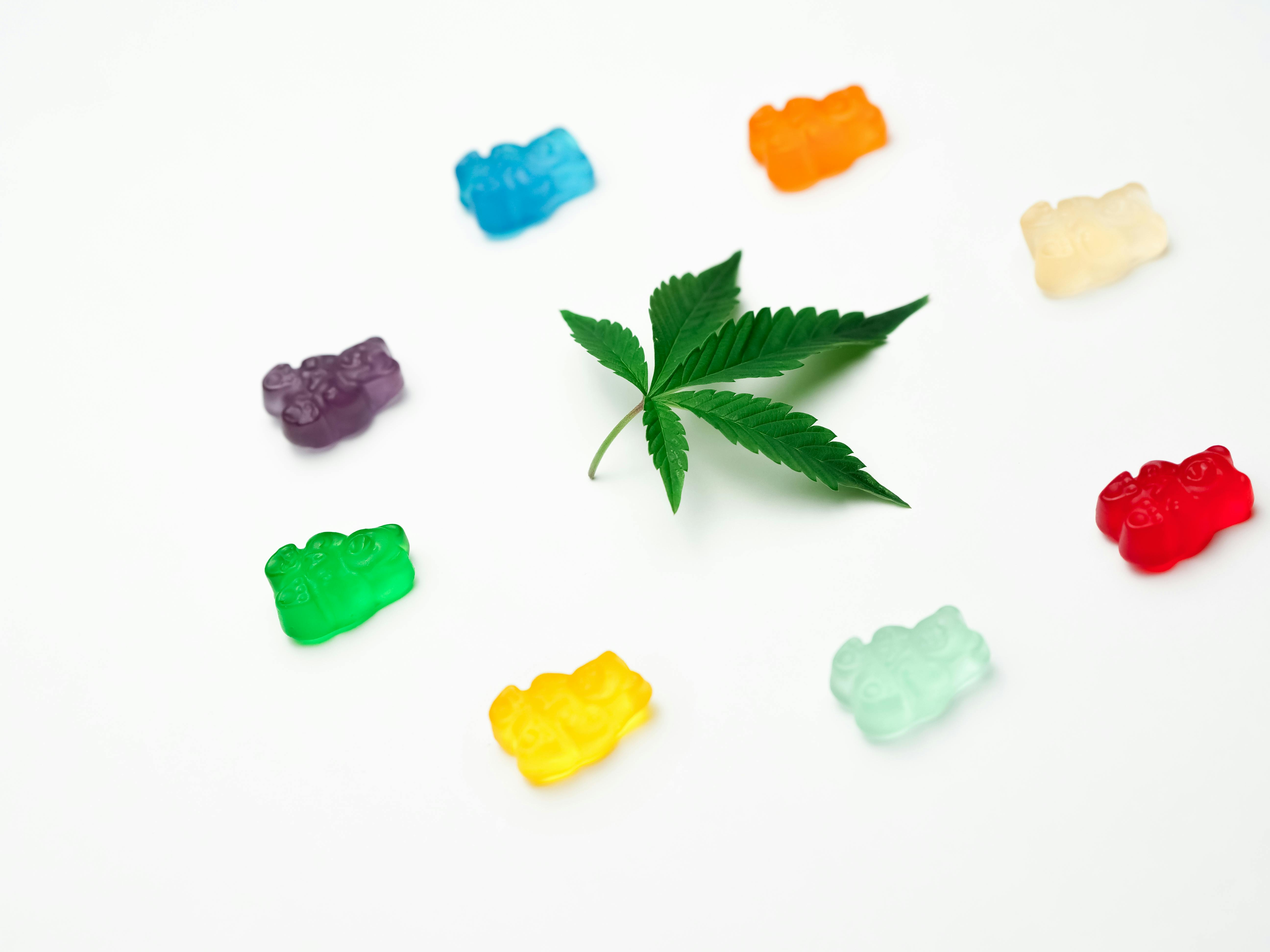 Photo of Marijuana Edibles on Dark Background · Free Stock Photo