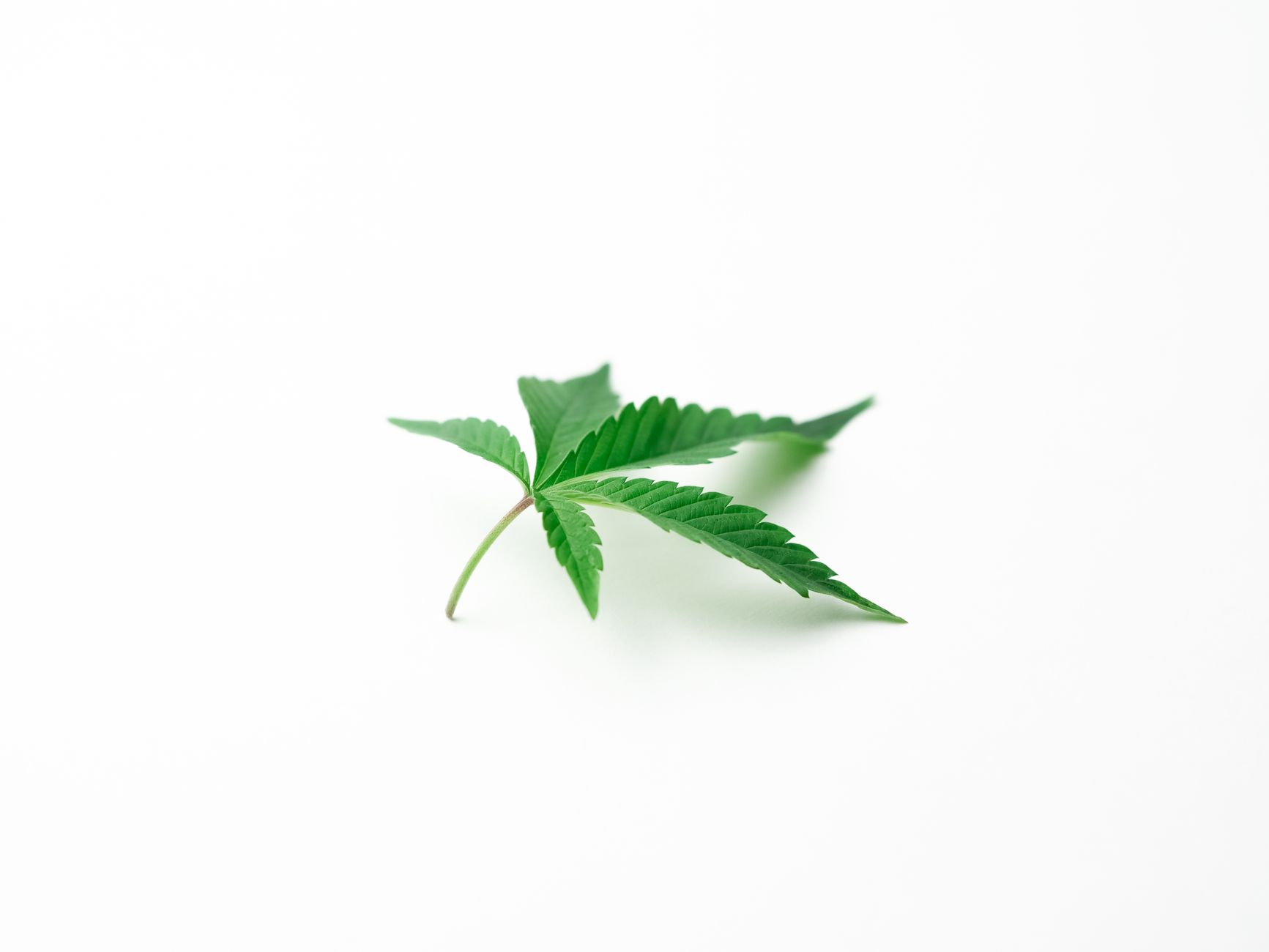 Cannabis and Constipation: A Surprising Connection?