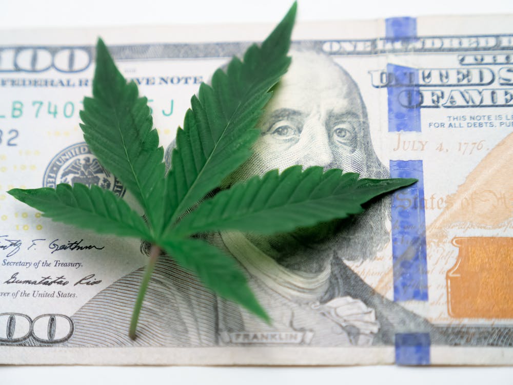 Cannabis et crypto-monnaie : naviguer dans la nouvelle économie verte