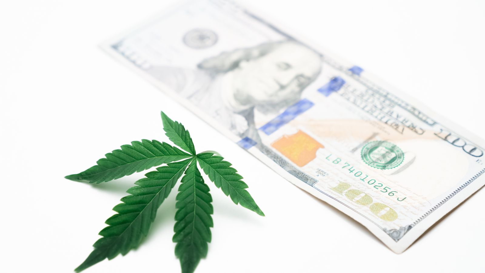 A close-up image of a cannabis leaf alongside a hundred-dollar bill, symbolizing cannabis economy.